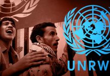 Compromisos de 2019 con los programas de UNRWA (efectivo y en especie) – Clasificación general de donantes al 31 de diciembre de 2019 en USD