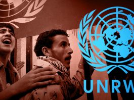 Compromisos de 2019 con los programas de UNRWA (efectivo y en especie) – Clasificación general de donantes al 31 de diciembre de 2019 en USD