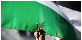 Preguntas esenciales que no se les hacen a las naciones que reconocerán un Estado palestino planificado